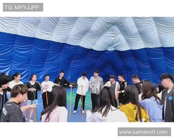 飞盘竞技的魅力与挑战：深入探讨深圳飞盘队的战术与团队协作